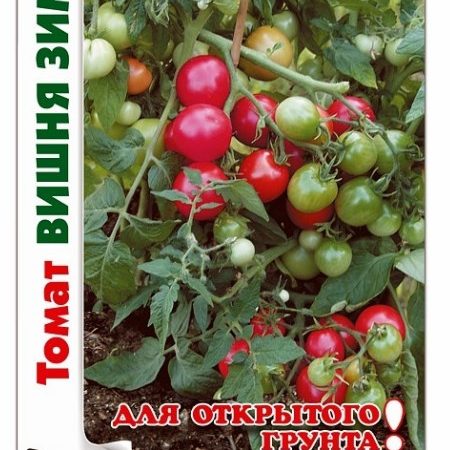 Томат Снегирь Характеристика И Отзывы Фото
